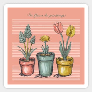 Spring Flowers in Pots Magnet